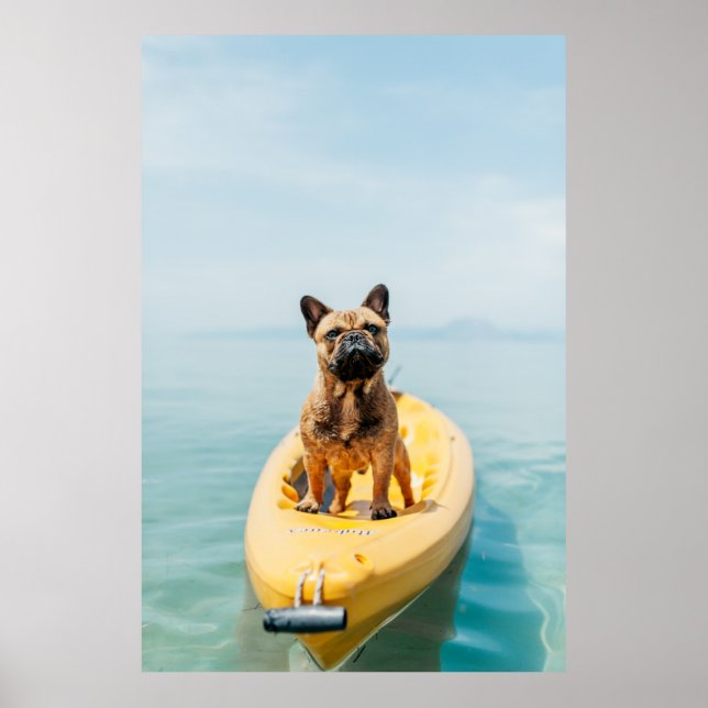Adulter brauner, auf Kajak stehender Bulldogge Poster (Vorne)