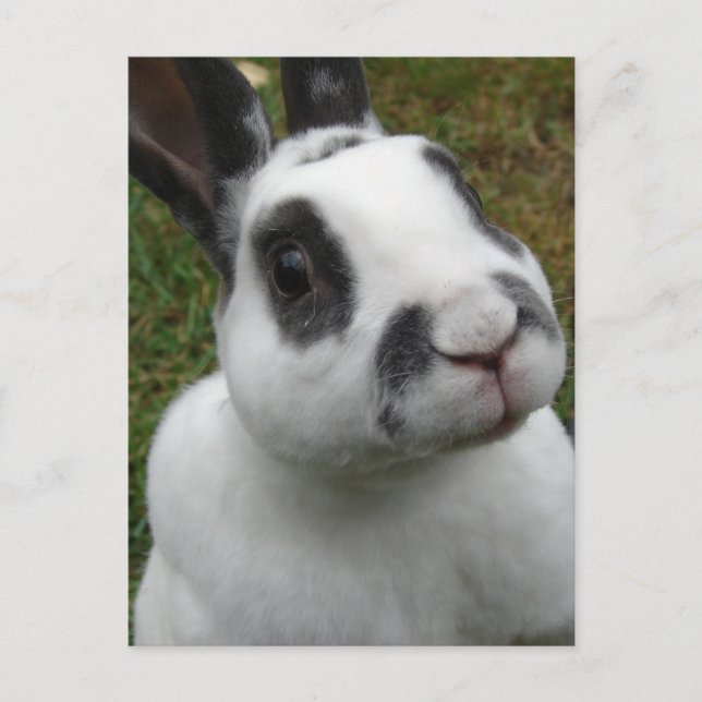 Adventskarte Postkarte (Vorderseite)