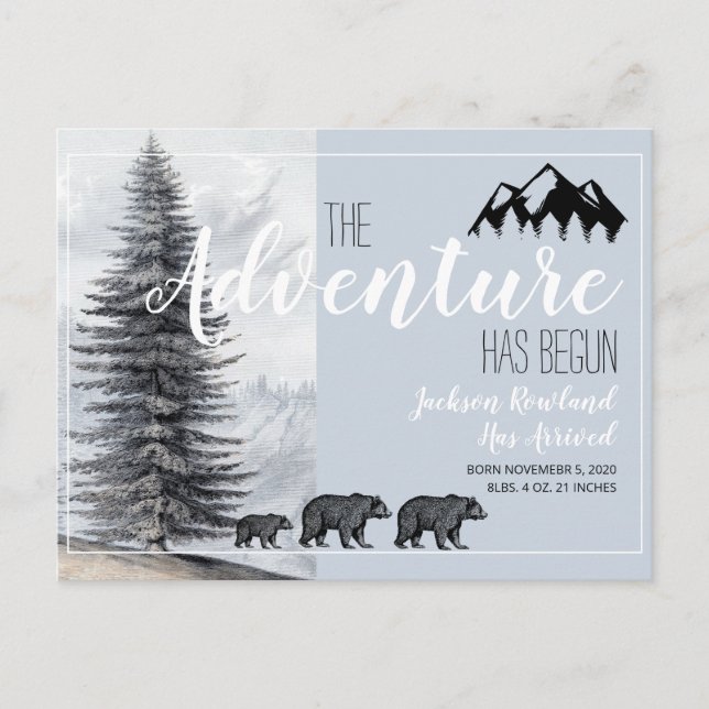 Adventure Begins Woodland Bears Geburtsankündigung Ankündigungspostkarte (Vorderseite)