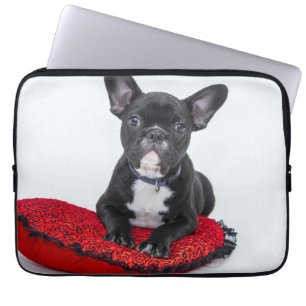 Adventure Black and White Bulldog Puppy Foto Laptopschutzhülle