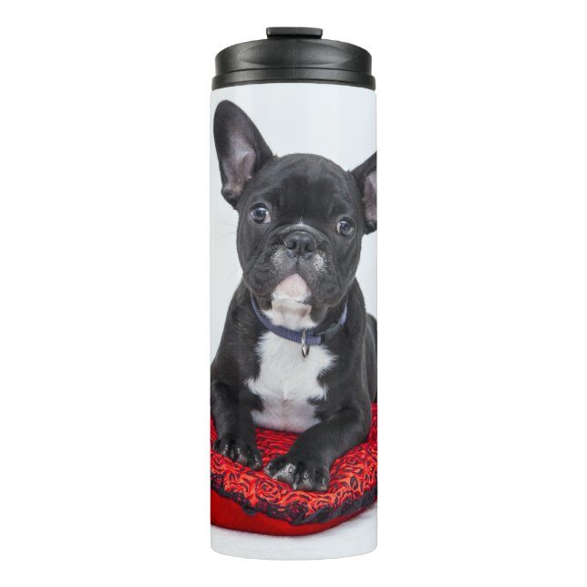 Adventure Black and White Bulldog Puppy Foto Thermosbecher (Vorderseite)