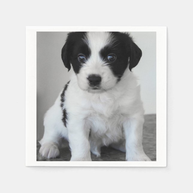 Adventure Black and White Puppy Serviette (Vorderseite)