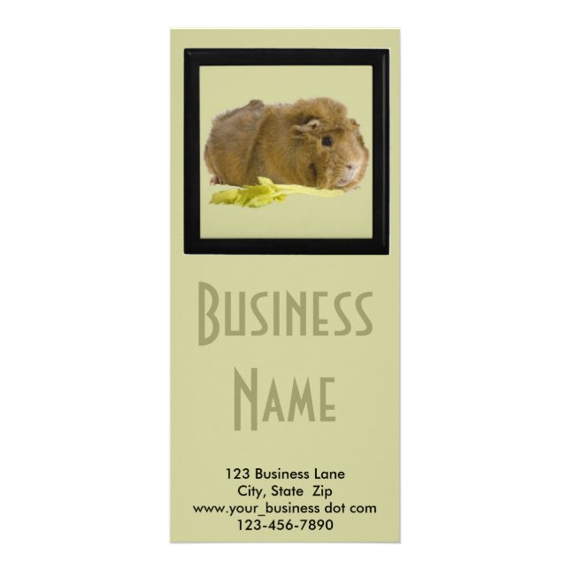 Adventure Ginger Guinea Pig Foto Pet Care Business Werbekarte (Vorne)