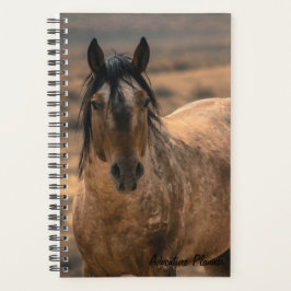 Adventure Planner mit Sir Behr Planer