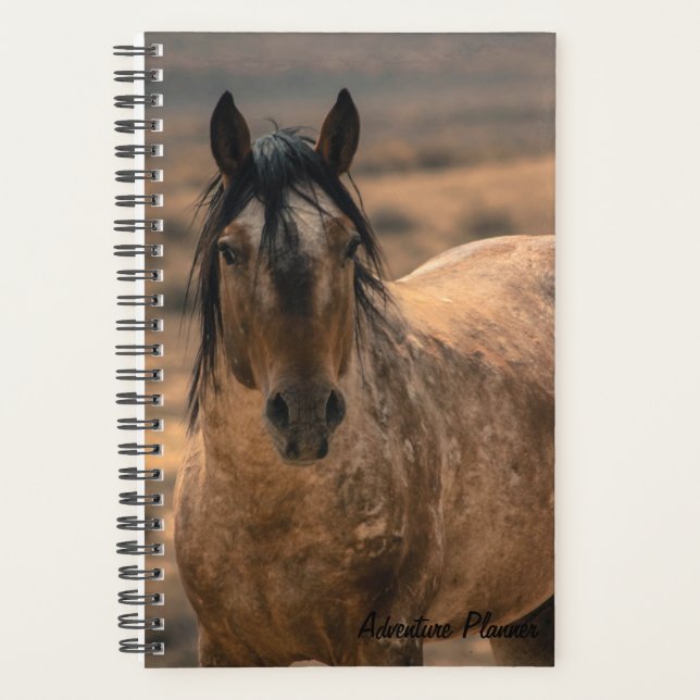 Adventure Planner mit Sir Behr Planer (Vorderseite)