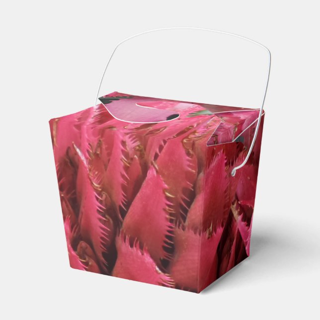 Aecmea Blume Abnehmen Gefälligkeitsbox Geschenkschachtel (Vorderseite)