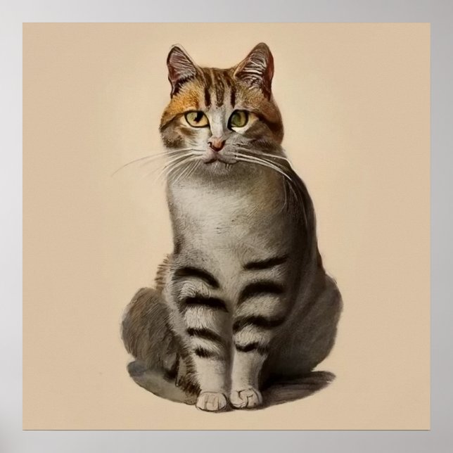 Aegean - Cat Portrait Poster (Vorne)