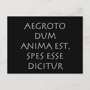 Aegroto dum anima est spies esse dicitur postkarte