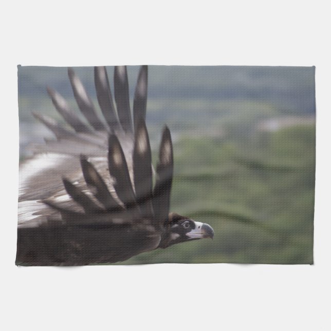 Aegypius monachus handtuch (Horizontal)