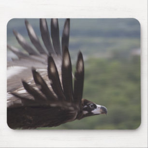 Aegypius monachus mousepad