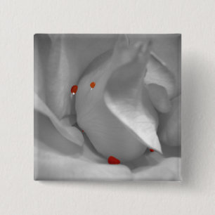 Aeolian Watercolor Button