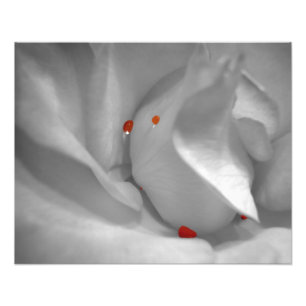 Aeolian Watercolor Foto Print