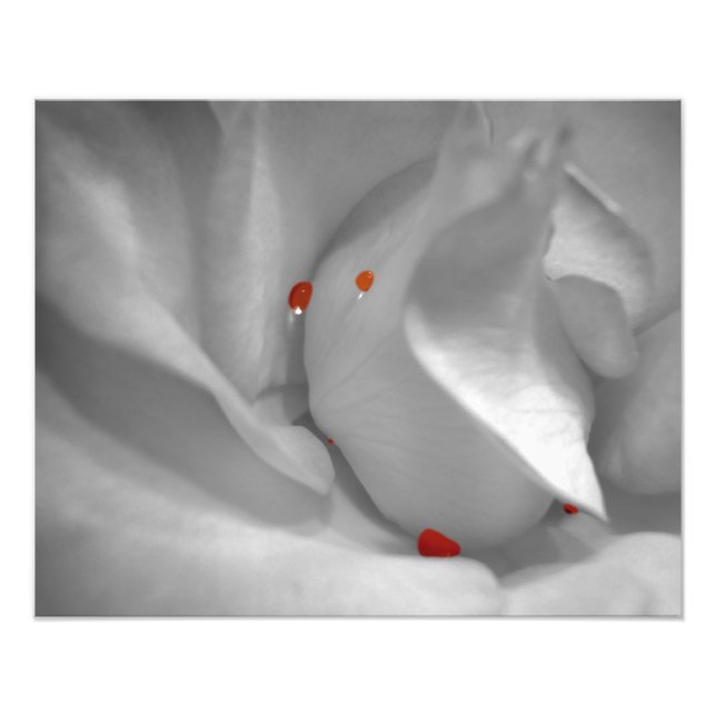 Aeolian Watercolor Foto Print (Vorne)