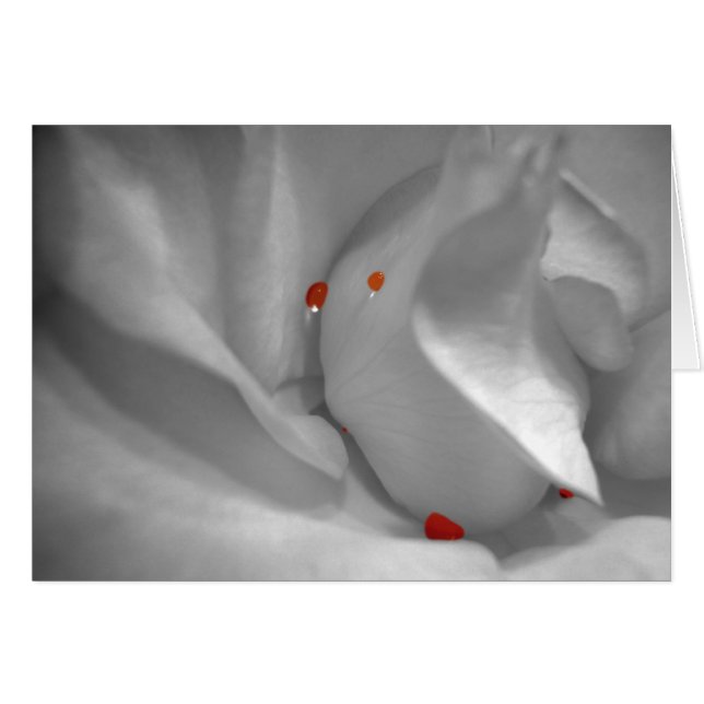 Aeolische Wasserfarbenkarte (Vorderseite (Horizontal))