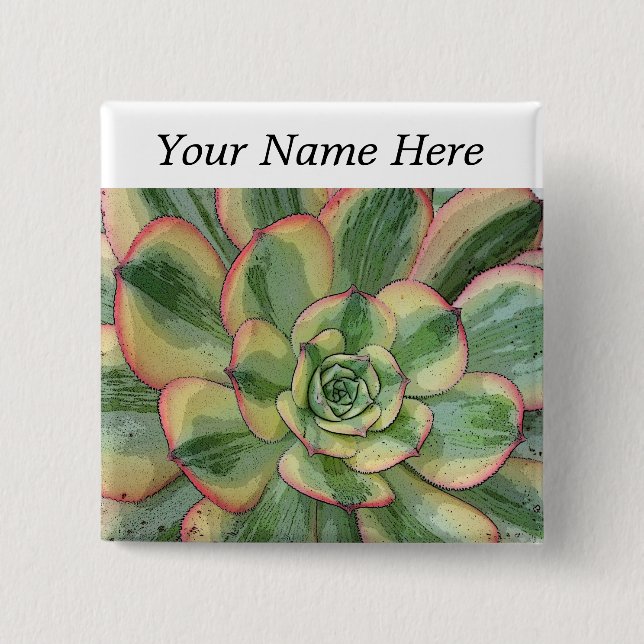 Aeonium-"Sonnendurchbruch" Button-zurück Button (Vorderseite)