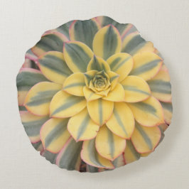 Aeonium-"Sonnendurchbruch-" saftiges Wurfs-Kissen Rundes Kissen