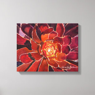 Aeonium "Zwartkop" Aquarell Leinwanddruck