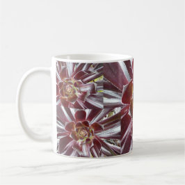 Aeonium Zwartkop Succulent-Tasse Kaffeetasse