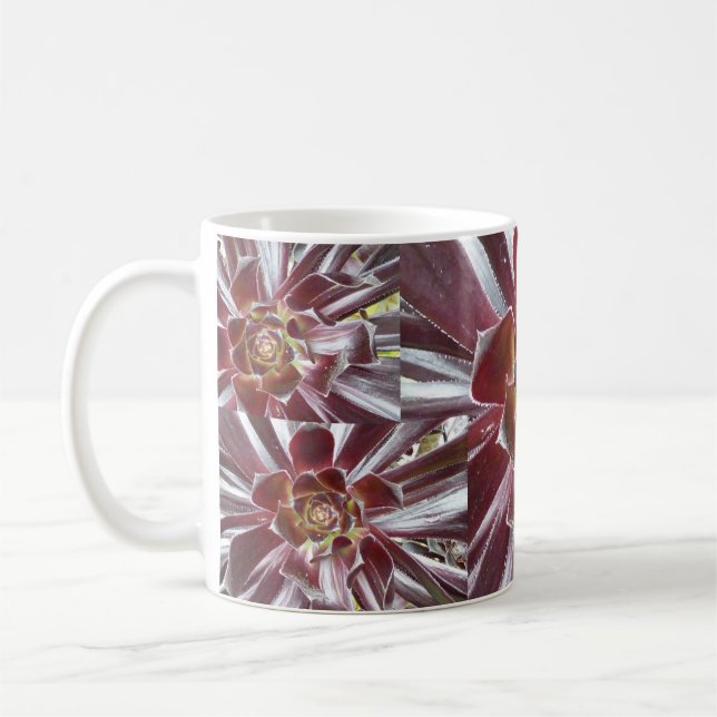 Aeonium Zwartkop Succulent-Tasse Kaffeetasse (Links)