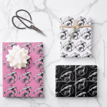 Aerial Hoop Lyra Pink Black Gray