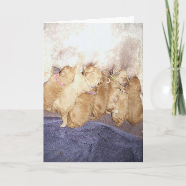 Aero-10 Karte (Vorderseite)