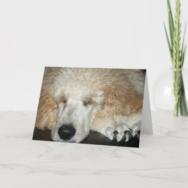 Aero-2 Karte (Vorderseite)