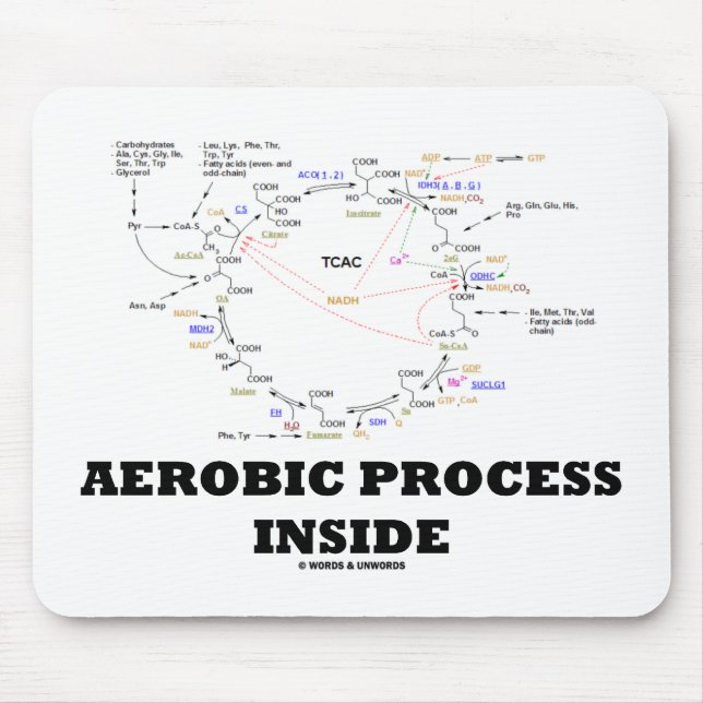 Aerobes Prozess-Innere (Krebs Zyklus) Mousepad (Vorne)