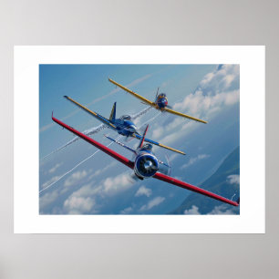 Aerobile Flugzeug Poster