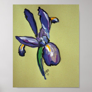 Aeronautical Iris Modernes Kunstgewerbe Print Post Poster