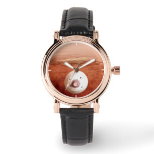 Aeroshell mit Dauerabstieg in die Mars Armbanduhr