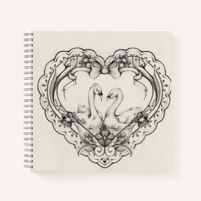 Aesthetic journal (Devant)