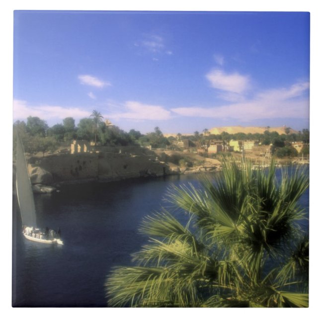 AF, Ägypten, Oberägypten, Assuan. Fluss Nile Fliese (Vorderseite)