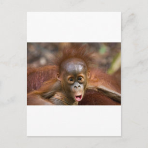 Affäre 1 postkarte