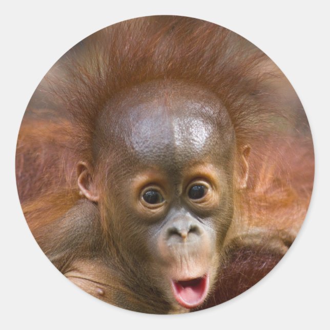 Affäre 1 runder aufkleber (Vorderseite)