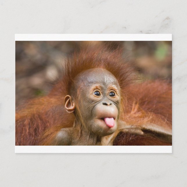 Affäre 2 postkarte (Vorderseite)