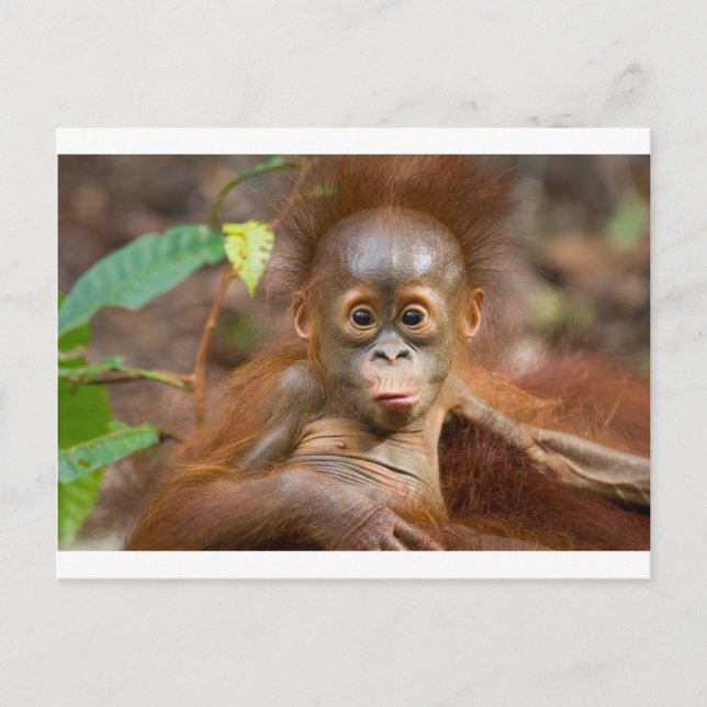 Affäre 3 postkarte (Vorderseite)