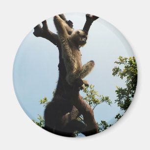 Affe auf einem Baum,猴子 Magnet