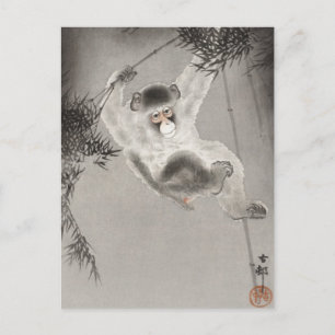Affe aus der Zweigstelle Bamboo, Koson, Tier Postkarte