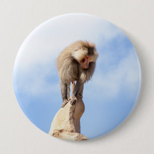 Affe Baboon auf einem Berg Button