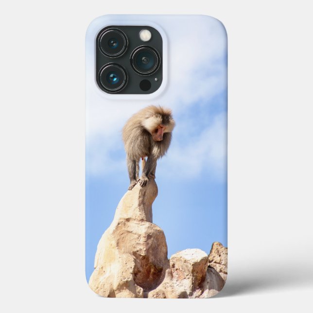 Affe Baboon auf einem Berg Case-Mate iPhone Hülle (Rückseite)