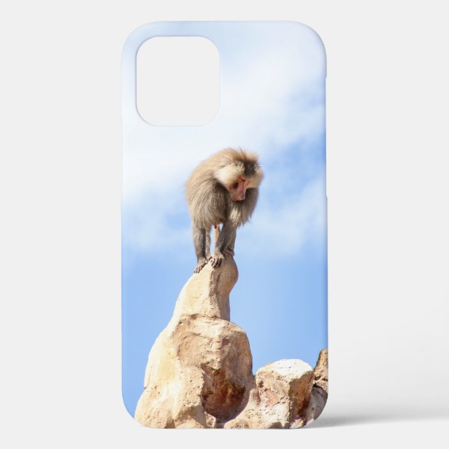 Affe Baboon auf einem Berg Case-Mate iPhone Hülle (Rückseite)