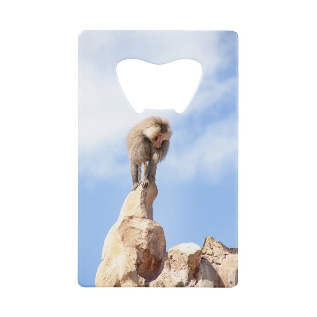 Affe Baboon auf einem Berg Geldbeutel Flaschenöffner (Vorderseite)