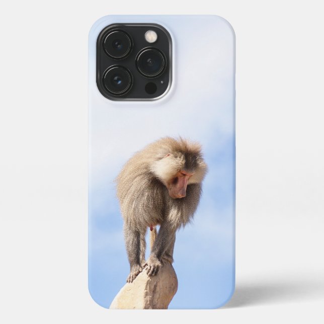 Affe Baboon auf einem Berg iPhone 13 Pro Hülle (Rückseite)
