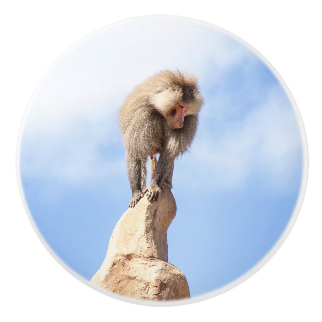 Affe Baboon auf einem Berg Keramikknauf (Vorderseite)