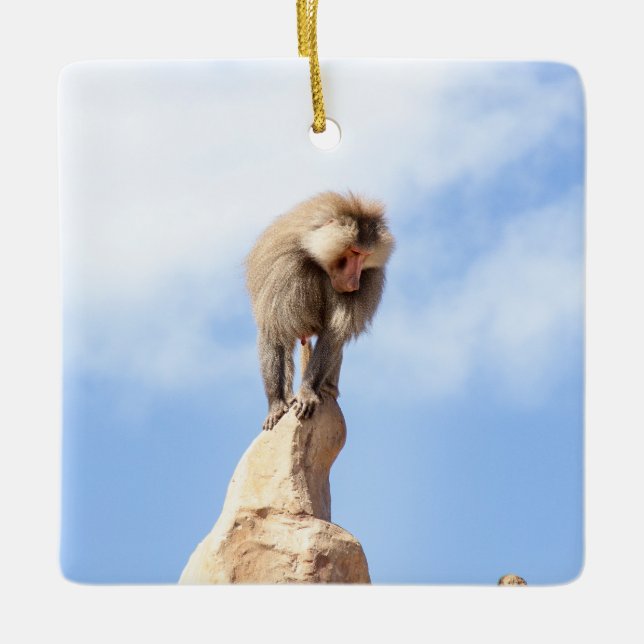 Affe Baboon auf einem Berg Keramikornament (Vorderseite)