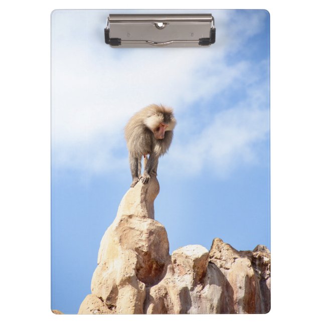 Affe Baboon auf einem Berg Klemmbrett (Vorderseite)