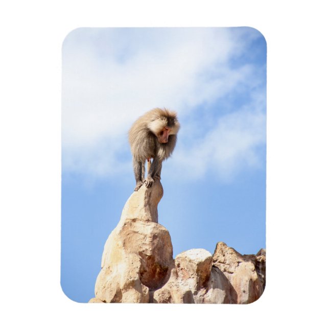 Affe Baboon auf einem Berg Magnet (Vertikal)