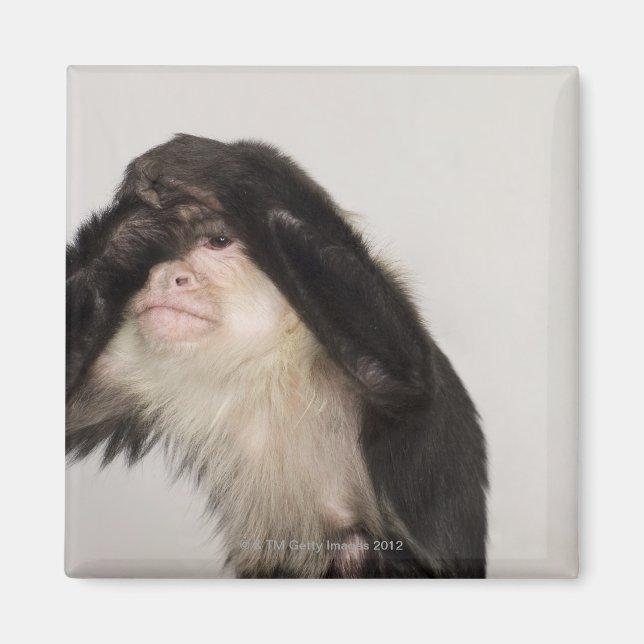 Affe bedeckt die Augen Magnet (Vorne)