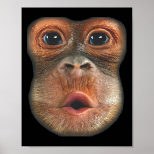 Affe bläst Bauch Gesicht  Poster