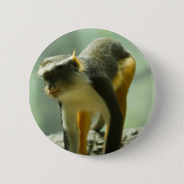 Affe Button (Vorderseite)